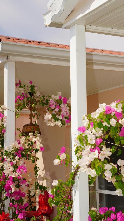 Bed and Breakfast Yelken Bungalov Milas Zewnętrze zdjęcie